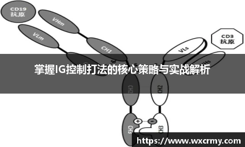 乐竟电竞掌握IG控制打法的核心策略与实战解析